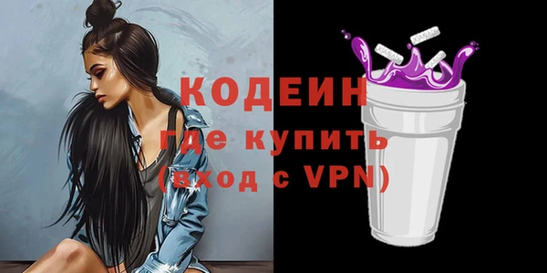 СК Гусь-Хрустальный