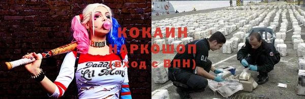 СК Гусь-Хрустальный