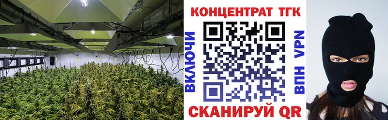 ТГК концентрат  Ковров 